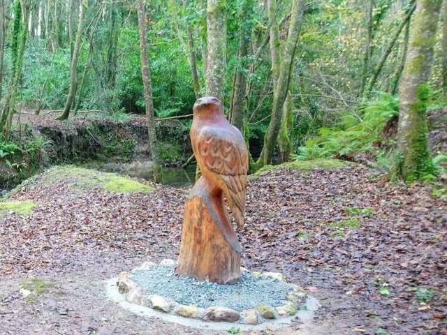 Fantastic new addition to Tintern Trails