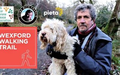 Wexford Walking Trail – ‘Climb With Charlie’ Walk on Knockroe Hill Blackstairs Mountains