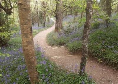 Tintern Trails – Abbot John Torrell Cistercian Trail