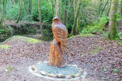 Wood carved eagle sculpture on Tintern Trails