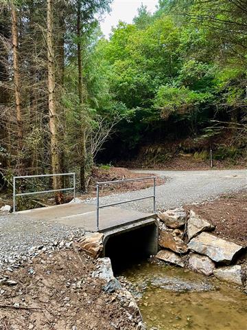 Stream crossing at Curragh Wood