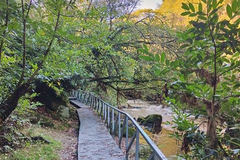 Walkway along the riverbank in Borodale Wood