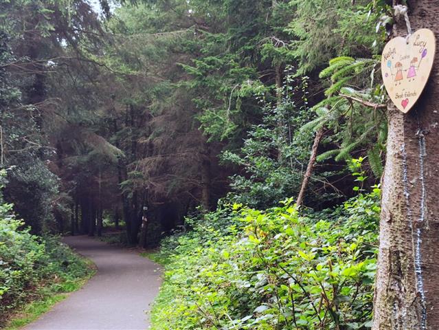 Essential works to take place in Ramsfort Forest Gorey