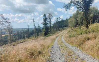 Five County Wexford walking trails included in National Walks Scheme