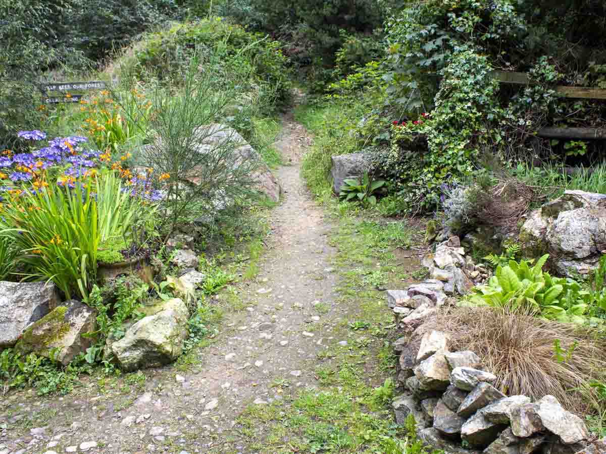 path on Tara hill