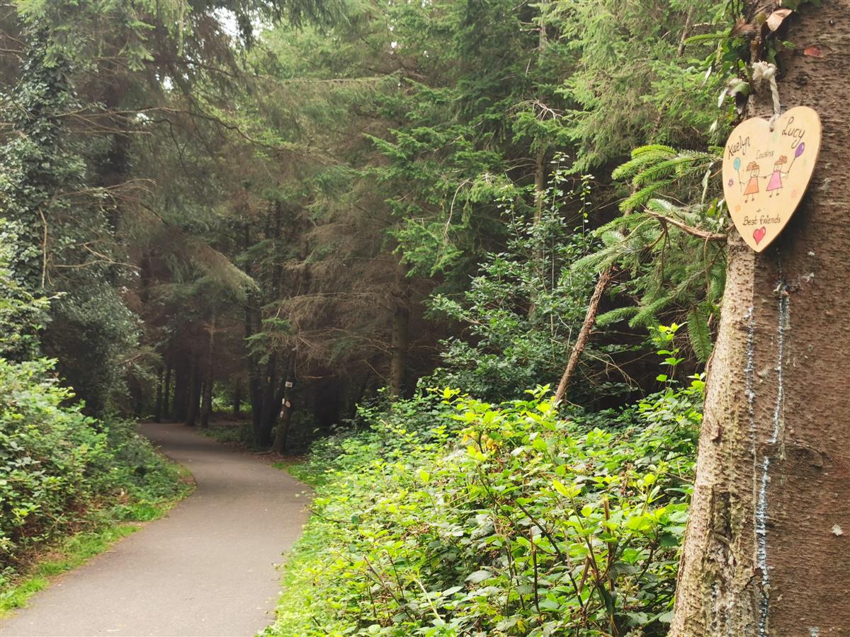 Ramsfort Wood Trail