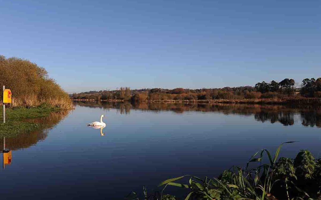 October Bank Holiday Riverside Ramble with Country Connects