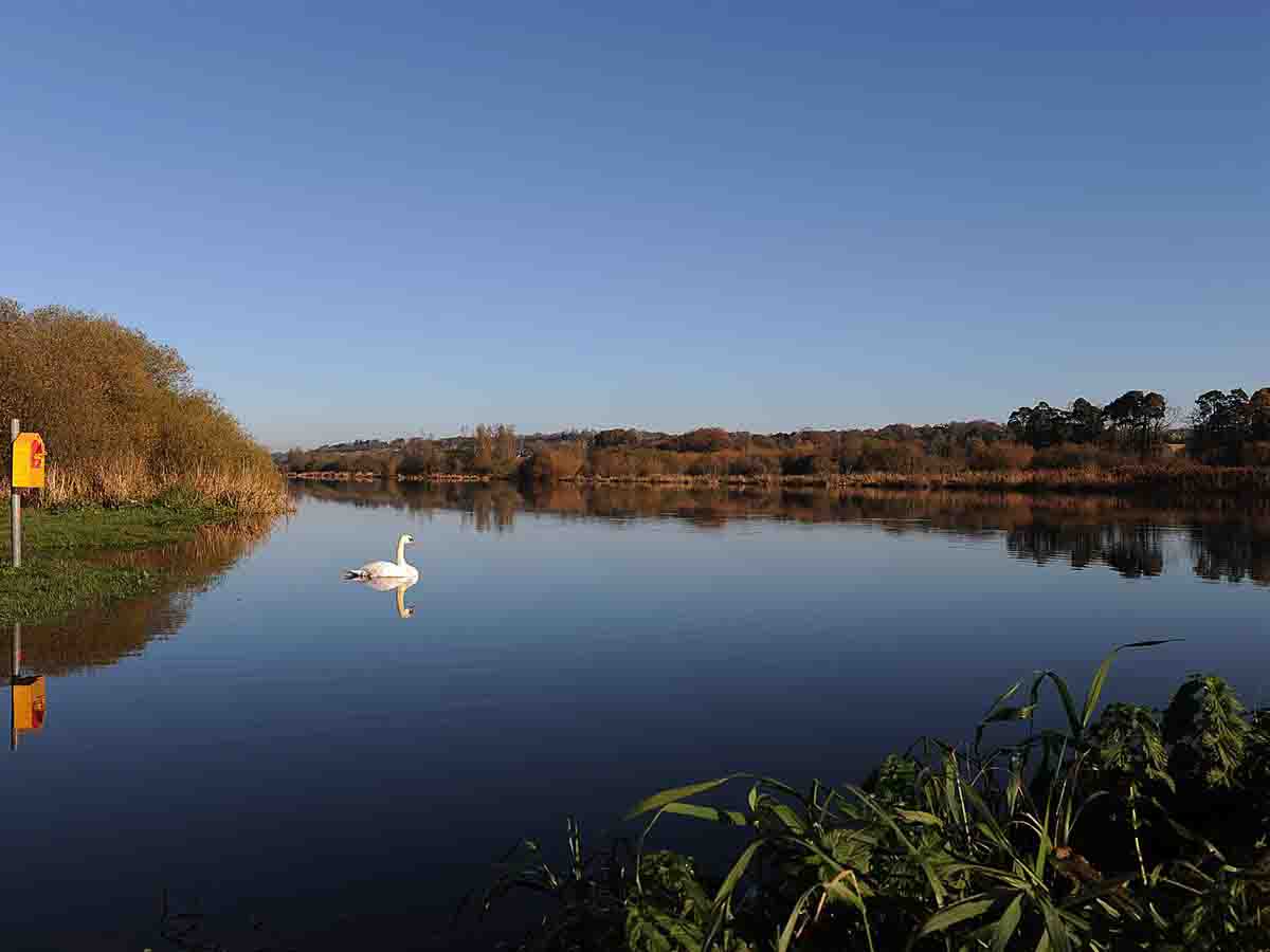 October Bank Holiday Riverside Ramble with Country Connects Wexford